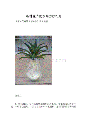 各种花卉的水培方法汇总.docx