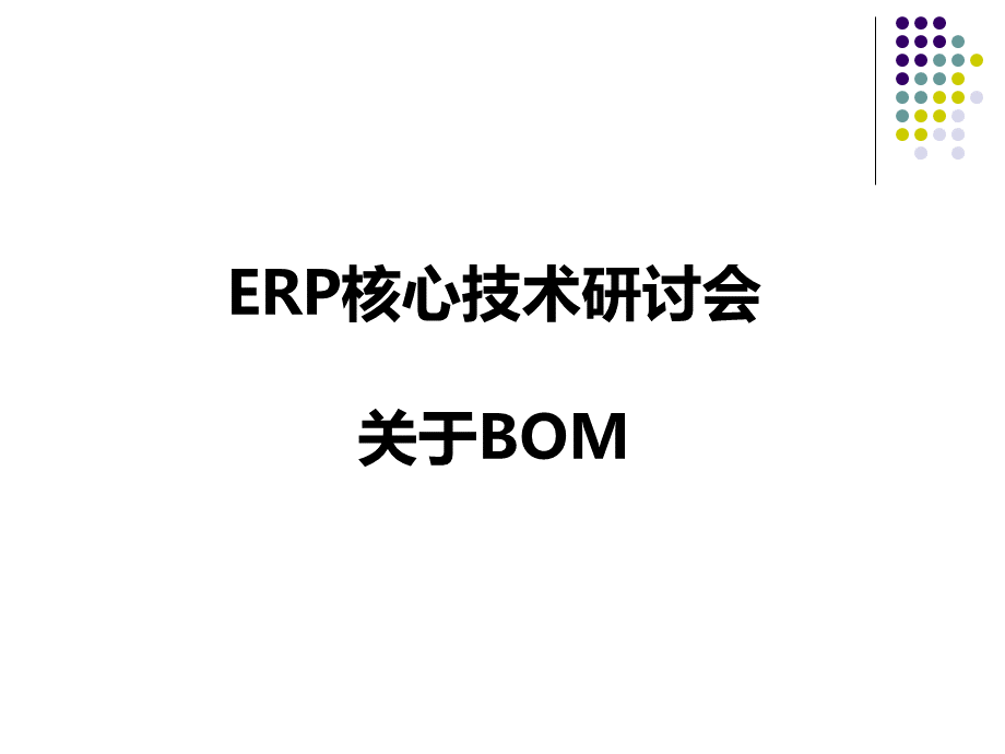 ERP核心技术研讨会.ppt_第1页