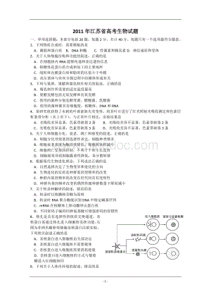 高考试题生物江苏卷.doc