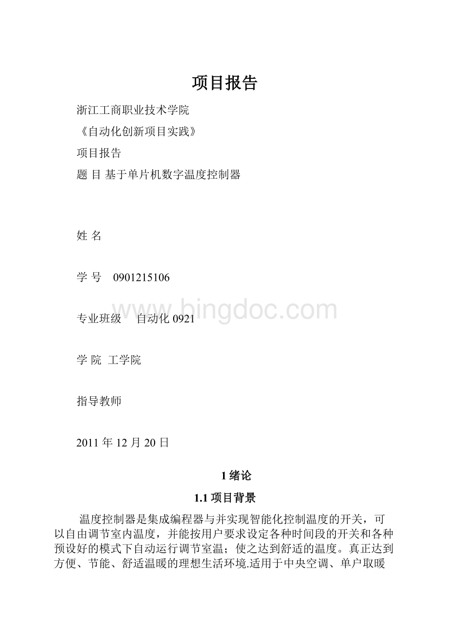 项目报告文档格式.docx