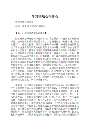 学习刑法心得体会文档格式.docx