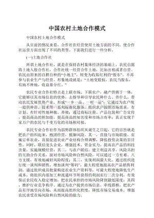 中国农村土地合作模式Word格式.docx