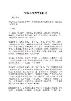 捡拾幸福作文800字.docx