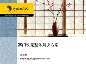 SYMTEC整体安全解决方案.ppt