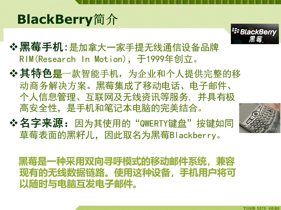 Blackberry手机国际市场营销4P战略分析.ppt_第2页