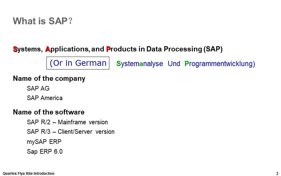 SAP公司简介.ppt_第3页