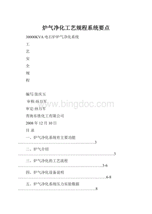 炉气净化工艺规程系统要点.docx