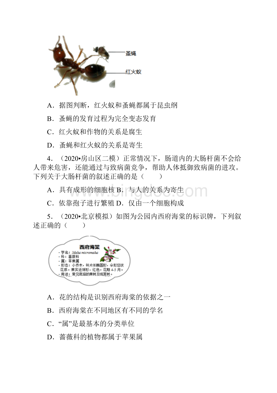 北京市中考生物各区模拟考试试题分类7生物多样性Word下载.docx_第2页