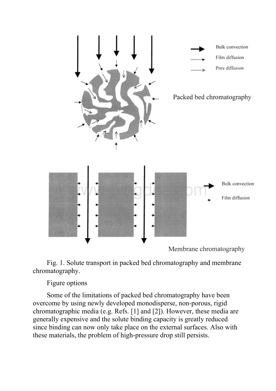 Protein separation using membrane chromatography 2.docx_第3页