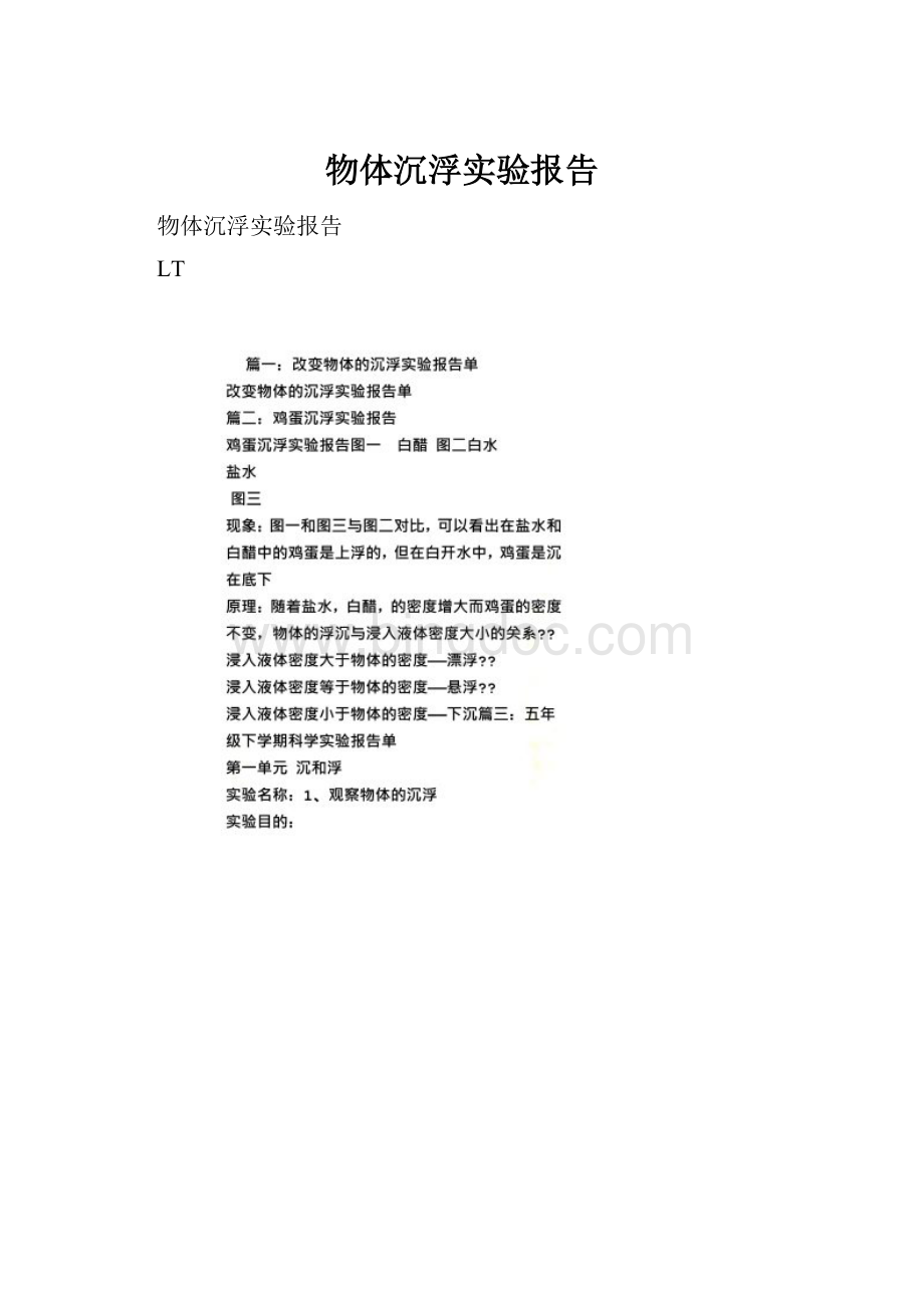 物体沉浮实验报告Word文档格式.docx_第1页