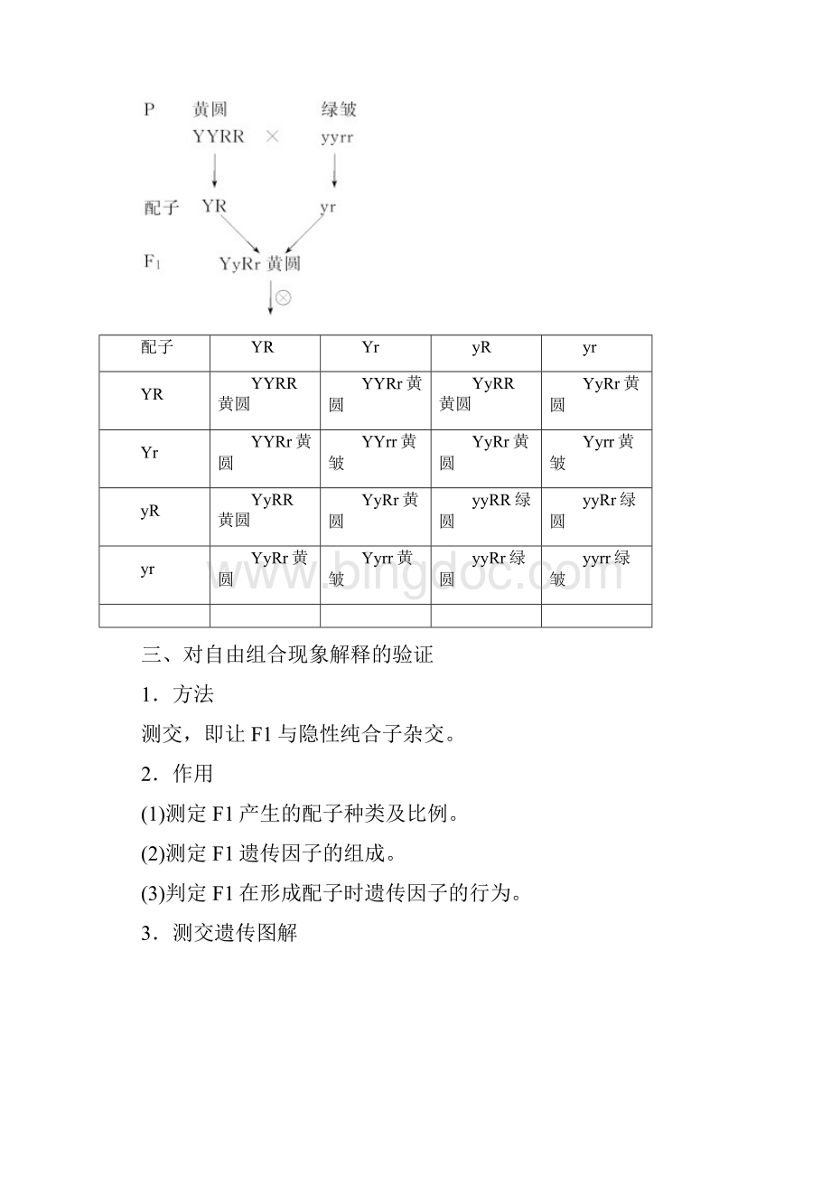 学年高一生物人教版必修二名师课堂导学设计12孟德尔的豌豆杂交实验二.docx_第3页