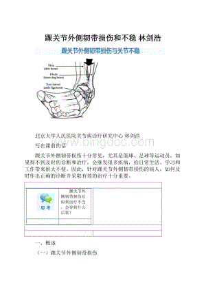 踝关节外侧韧带损伤和不稳 林剑浩.docx