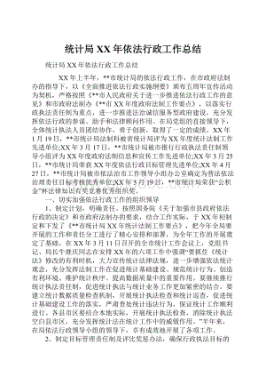 统计局XX年依法行政工作总结.docx