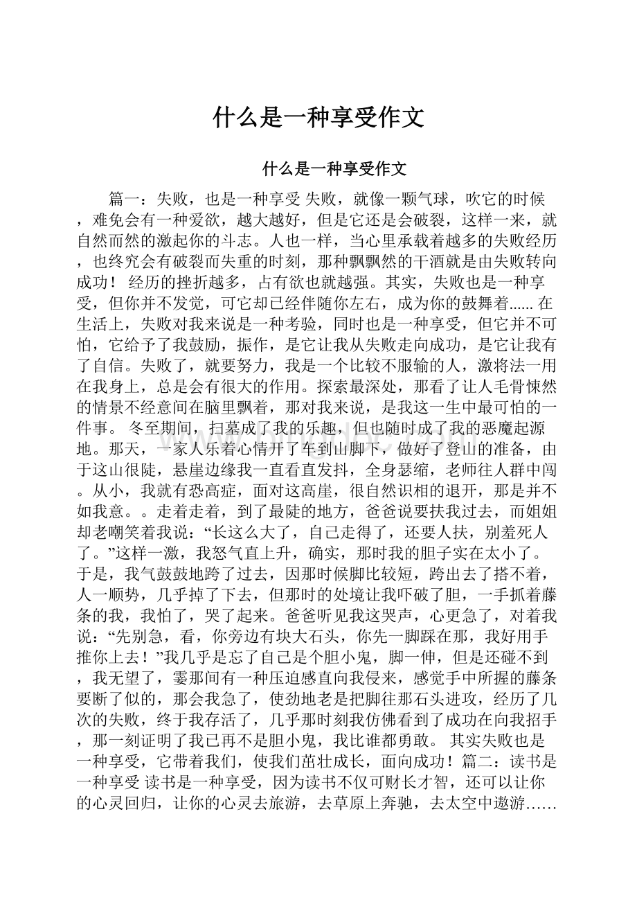 什么是一种享受作文Word文件下载.docx