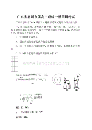 广东省惠州市届高三理综一模四调考试文档格式.docx