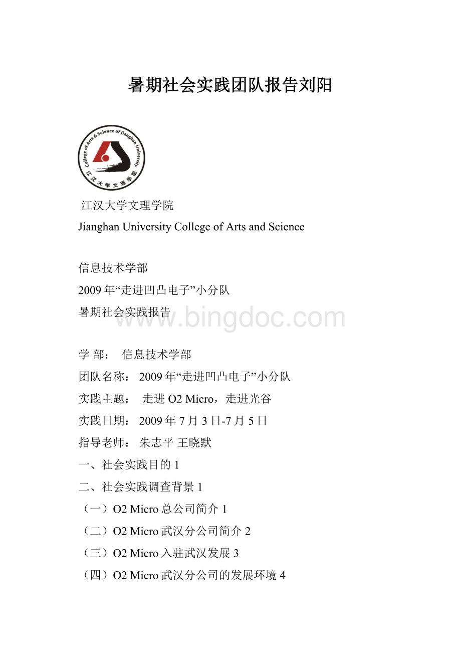 暑期社会实践团队报告刘阳Word格式文档下载.docx_第1页