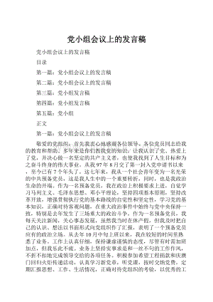 党小组会议上的发言稿文档格式.docx