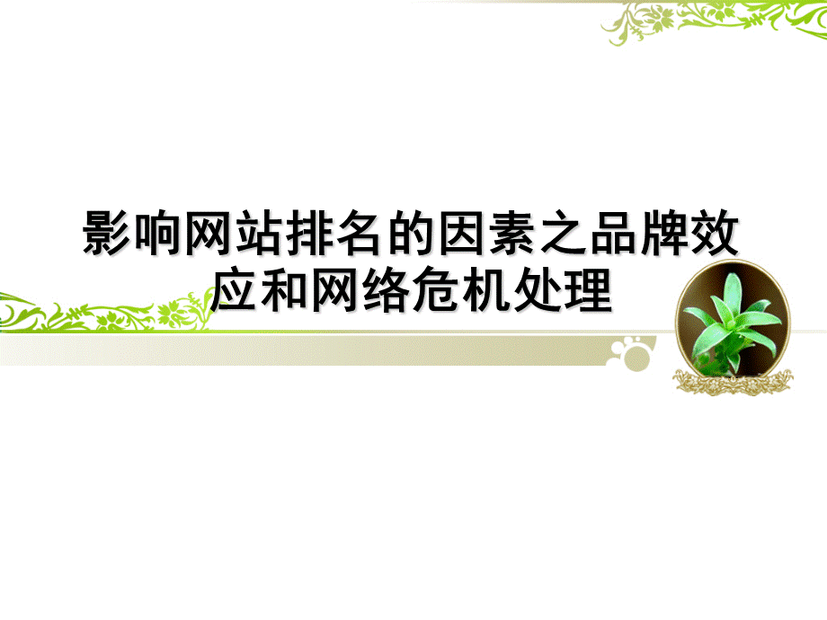 影响网站排名的因素之品牌效应和网络危机处理.pptx_第1页