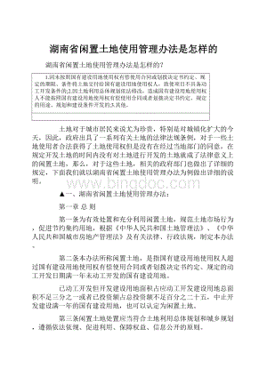 湖南省闲置土地使用管理办法是怎样的文档格式.docx