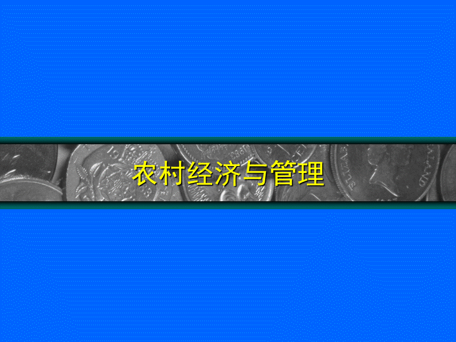 农村经济与管理培训讲义PPT文档格式.pptx_第1页