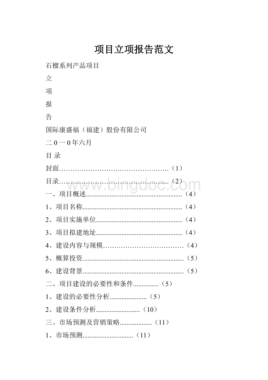 项目立项报告范文.docx