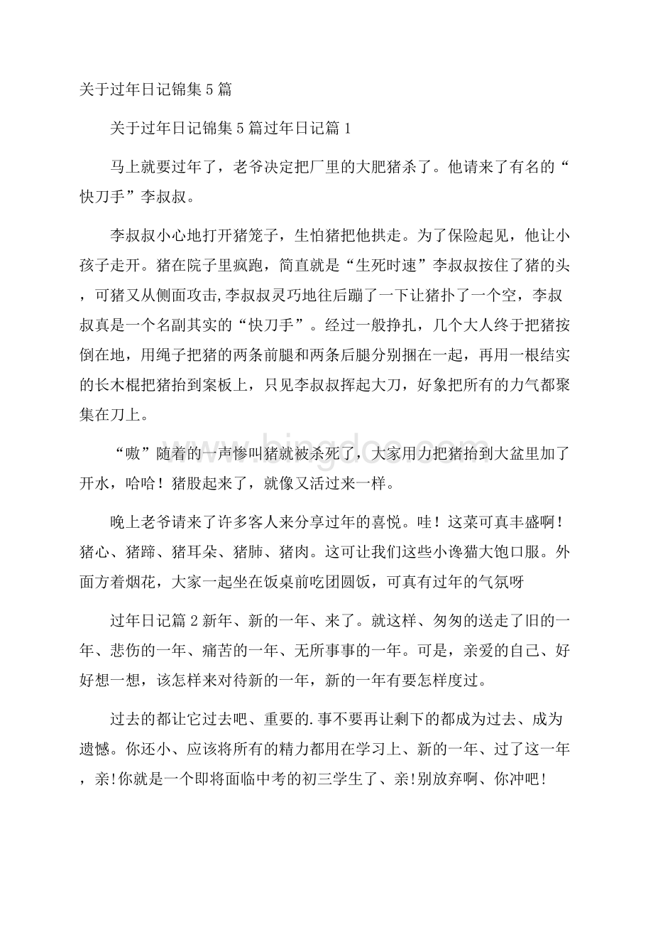 关于过年日记锦集5篇Word格式文档下载.docx