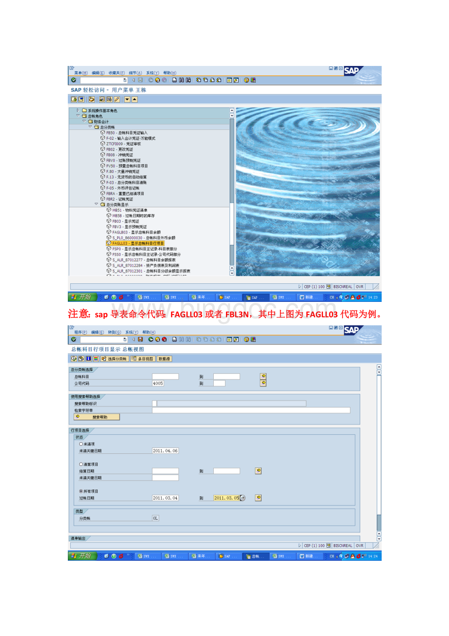 SAP导出科目余额表和凭证表操作说明及截图.doc