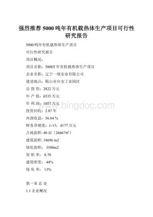 强烈推荐5000吨年有机载热体生产项目可行性研究报告.docx