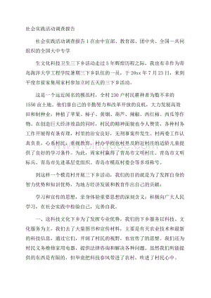 社会实践活动调查报告.docx