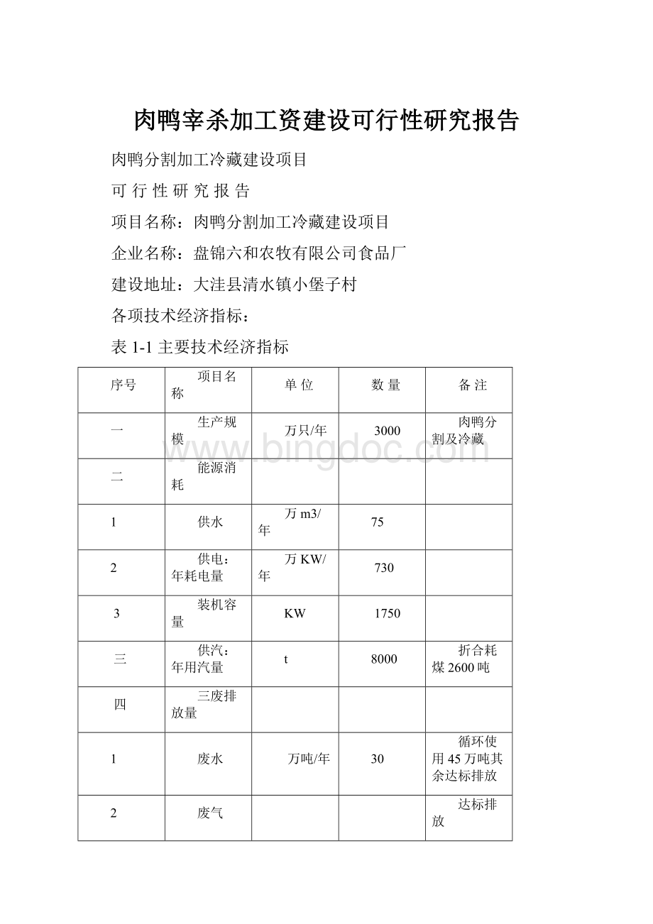 肉鸭宰杀加工资建设可行性研究报告Word格式.docx_第1页