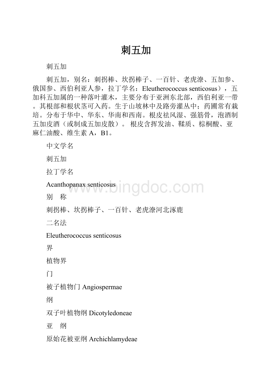 刺五加文档格式.docx_第1页