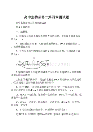 高中生物必修二第四章测试题.docx