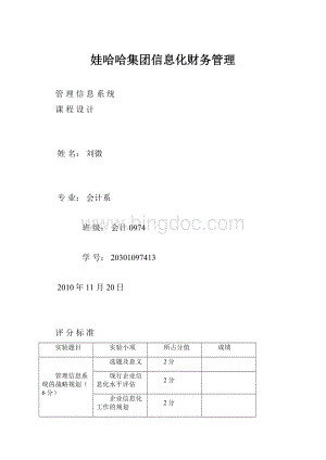 娃哈哈集团信息化财务管理Word下载.docx