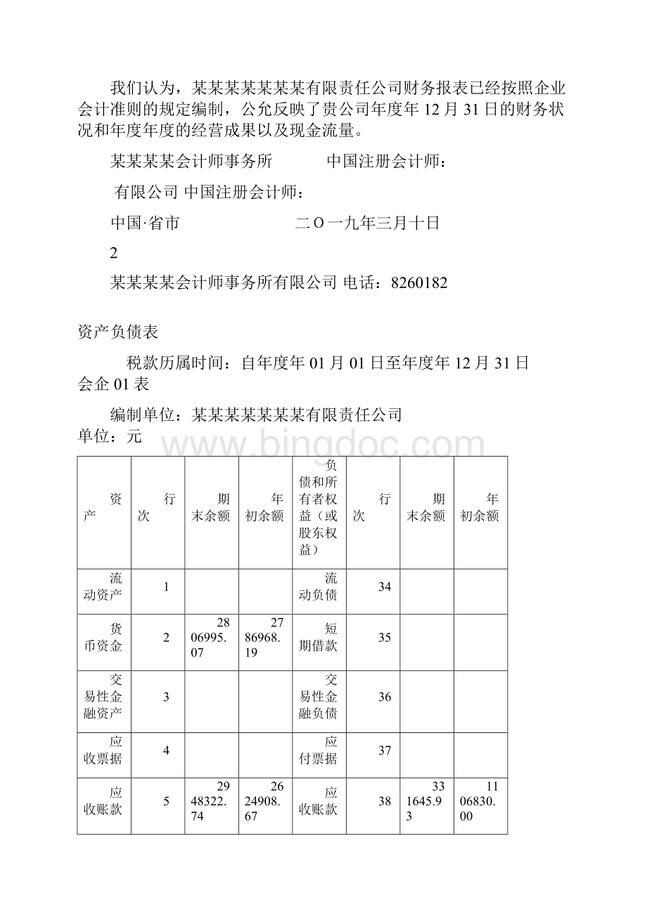 财务审计报告财务审计报告.docx_第2页