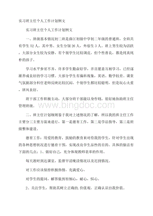 实习班主任个人工作计划例文.docx