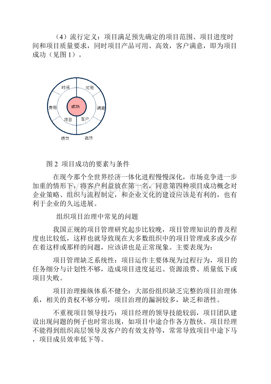 项目治理体系建设.docx_第3页