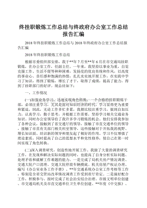 终挂职锻炼工作总结与终政府办公室工作总结报告汇编.docx