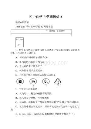 初中化学上学期培优2.docx