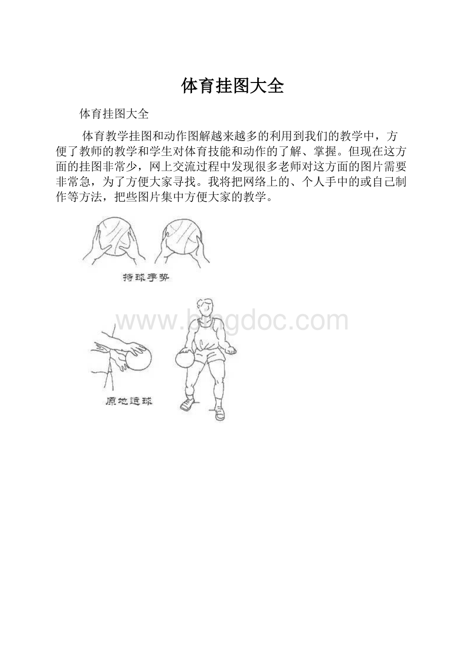 体育挂图大全文档格式.docx