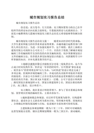 城市规划实习报告总结Word文档格式.docx