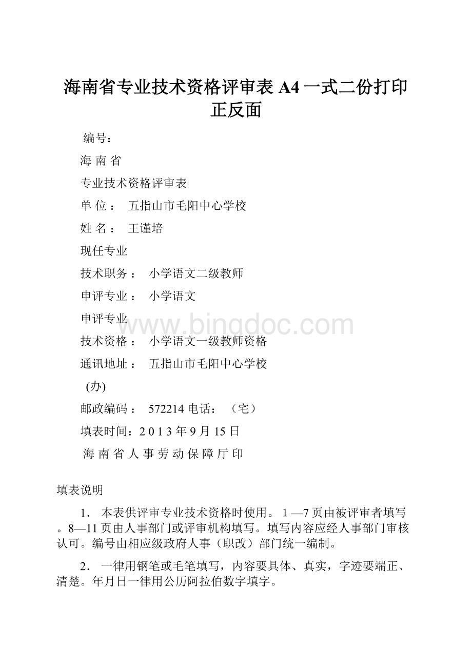 海南省专业技术资格评审表A4一式二份打印正反面Word格式.docx