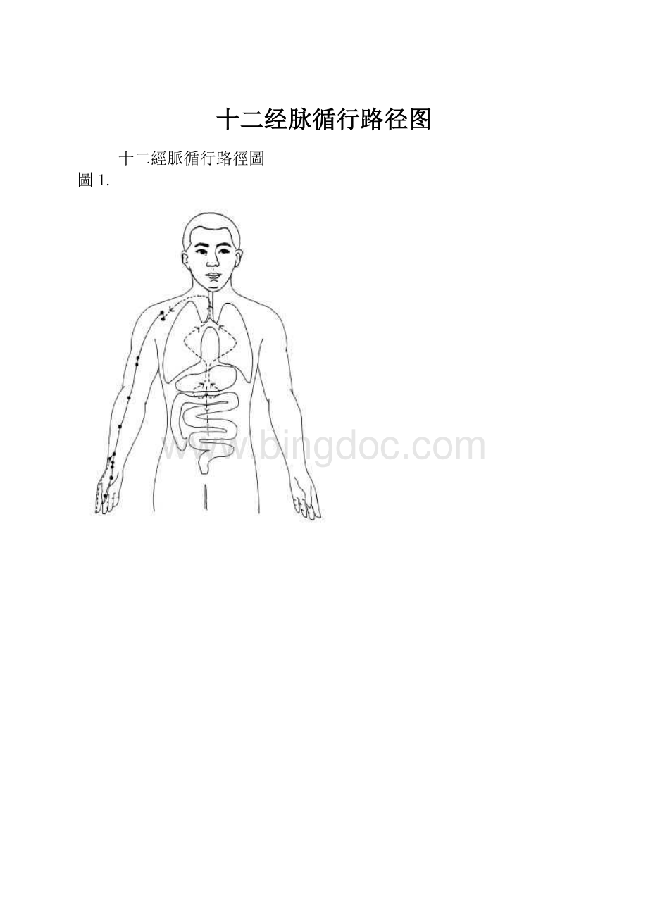 十二经脉循行路径图Word文档格式.docx_第1页