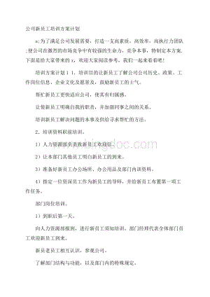 公司新员工培训方案计划.docx