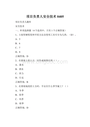 项目负责人安全技术0405.docx