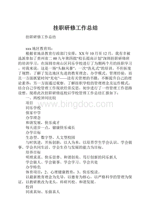 挂职研修工作总结.docx