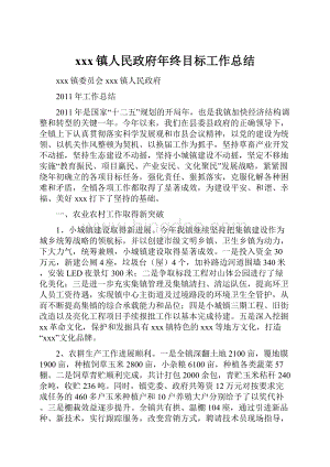 xxx镇人民政府年终目标工作总结.docx