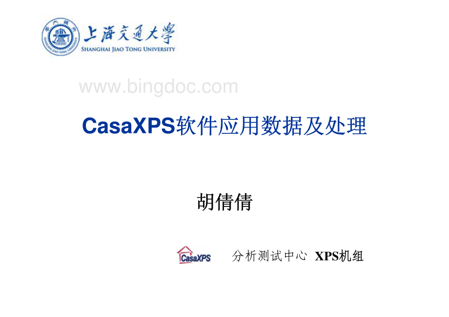 CasaXPS软件应用数据及处理.pdf