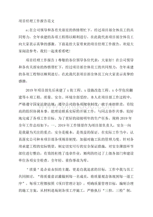 项目经理工作报告范文文档格式.docx