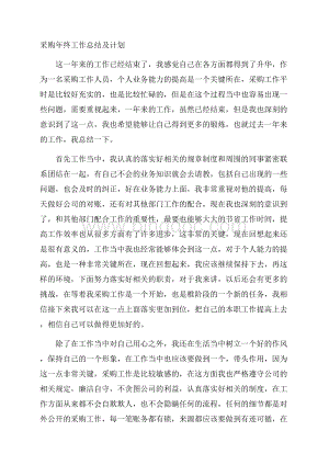 采购年终工作总结及计划.docx