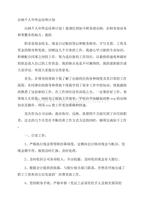 出纳个人年终总结和计划.docx